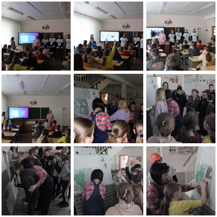 collage (1).jpg